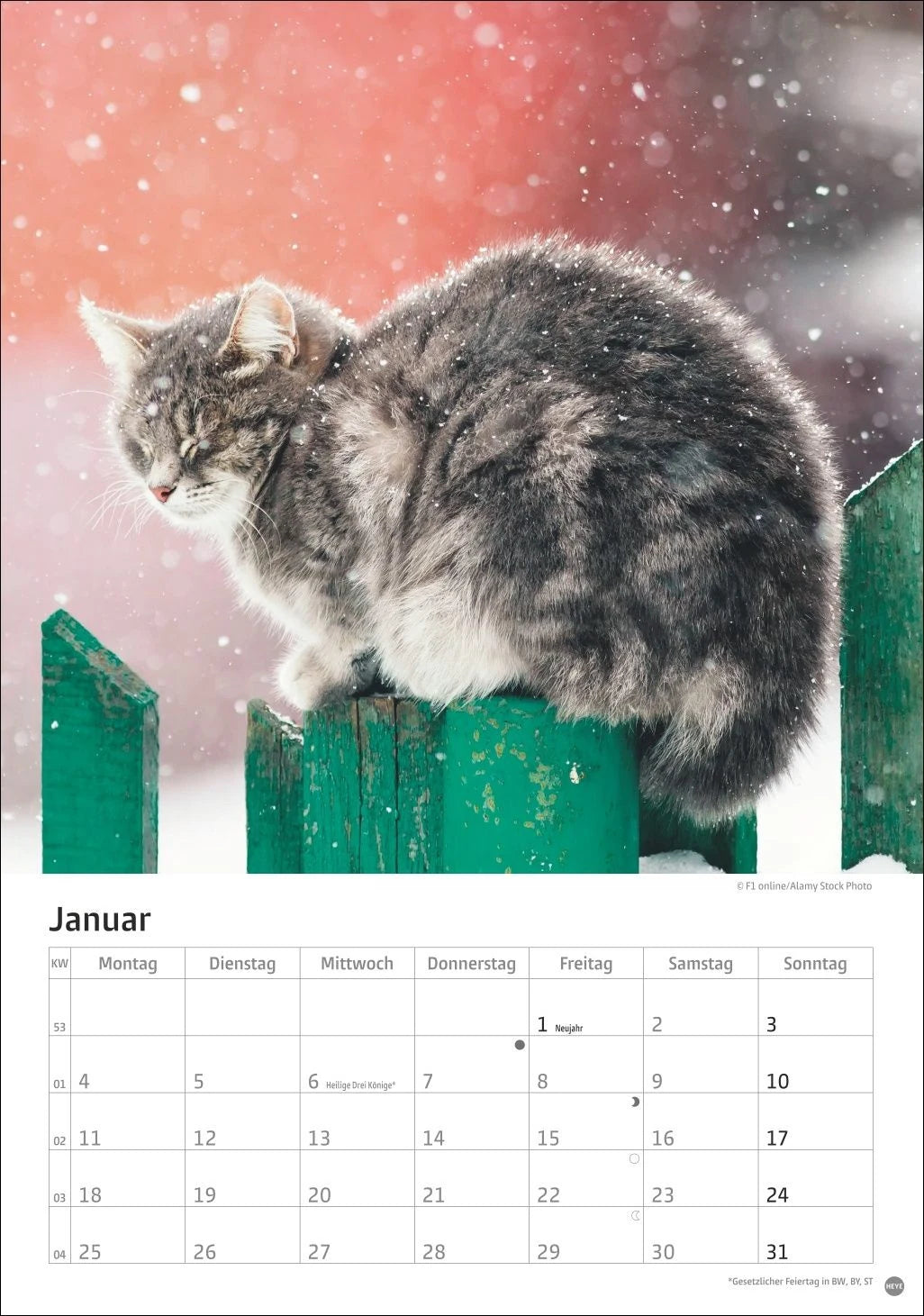 Katzen Kalender 2027 – Ansicht