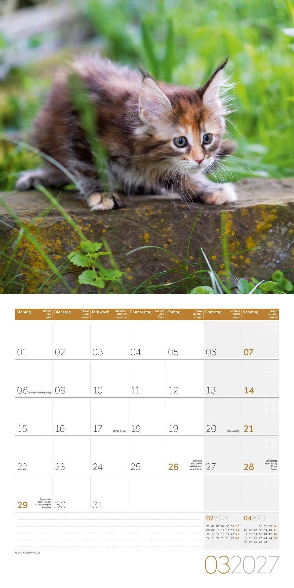 Katzen Kalender 2027 - 30x30 - Art12 – Ansicht
