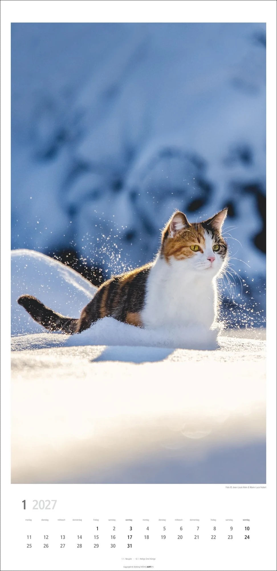 Katzen Kalender 2027 – Ansicht