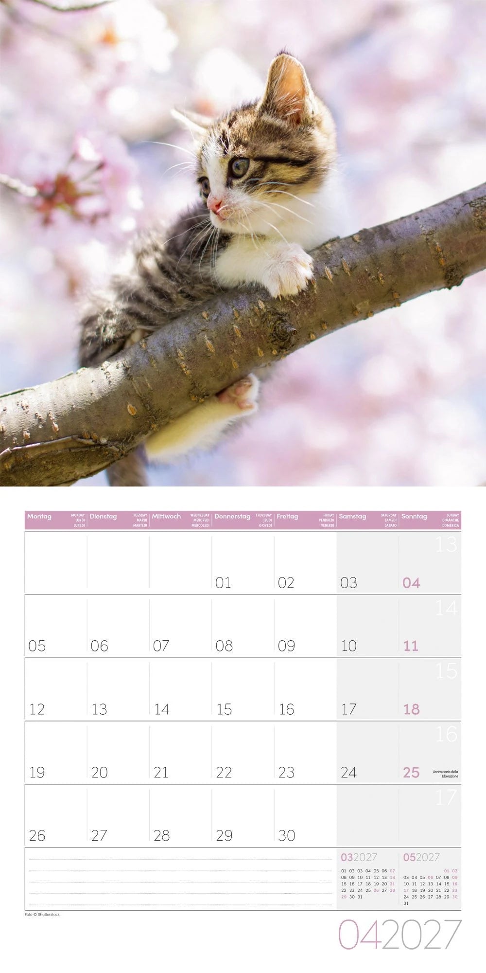 Katzen Kalender 2027 - 30x30 - Art12 – Ansicht