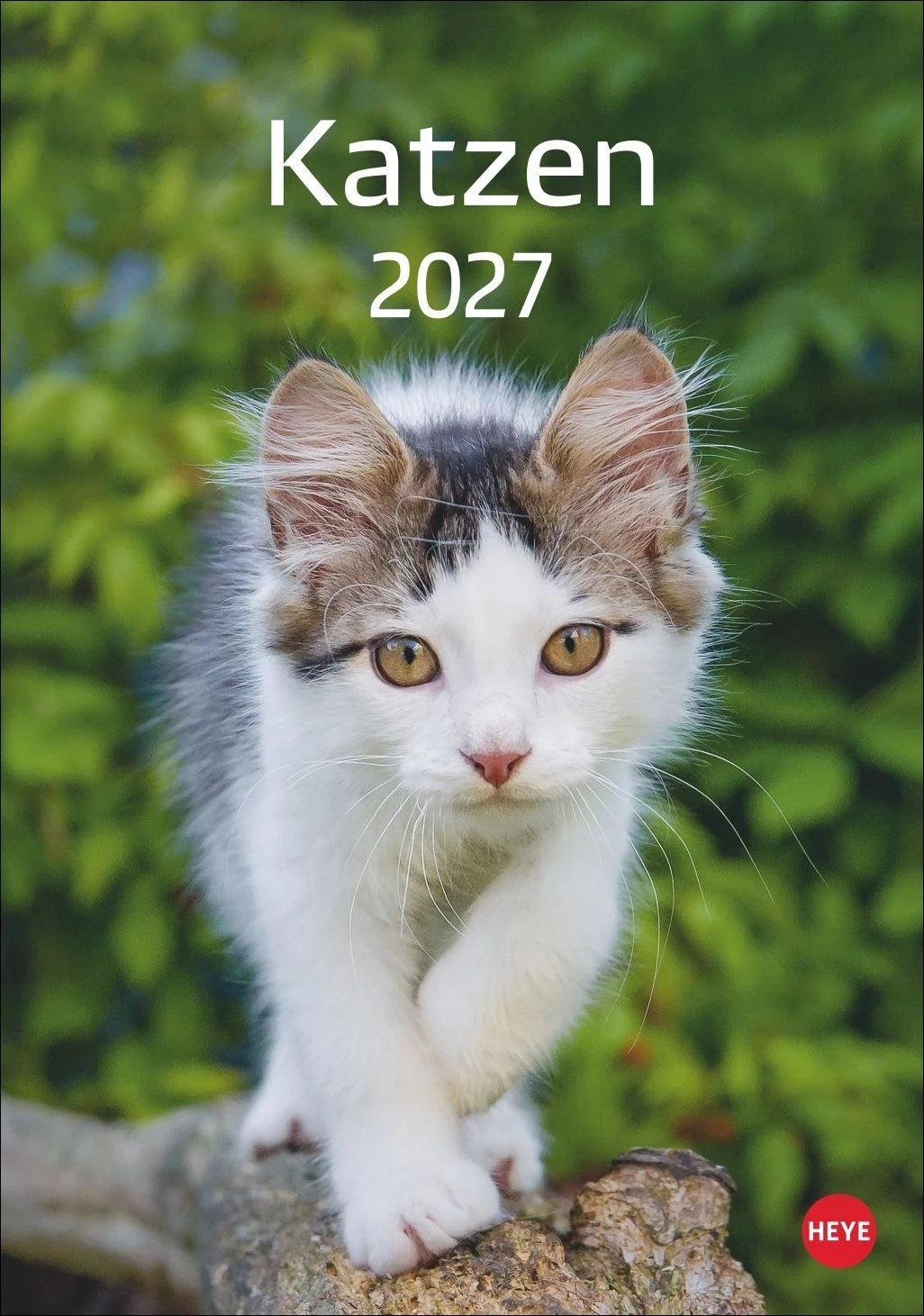 Wandkalender: Katzen Kalender 2027