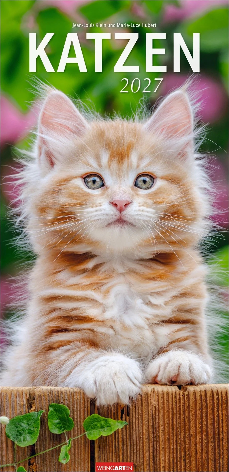 Wandkalender: Katzen Kalender 2027