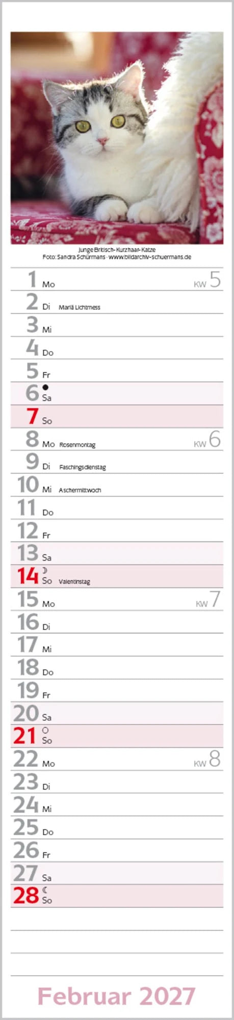 Katzen Langplaner 2027 – Ansicht