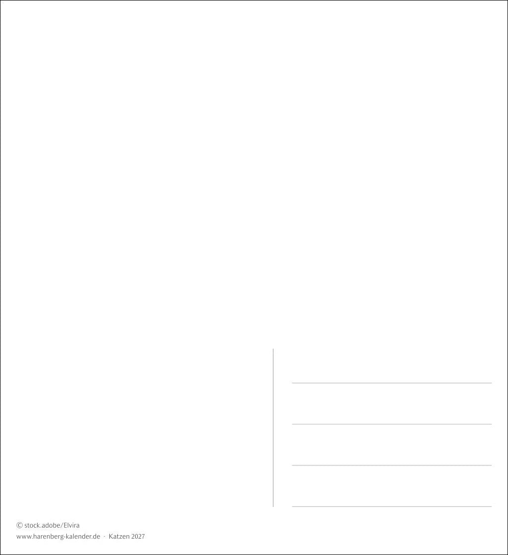 Katzen Postkartenkalender 2027 - Wochenkalender mit 53 Postkarten – Ansicht