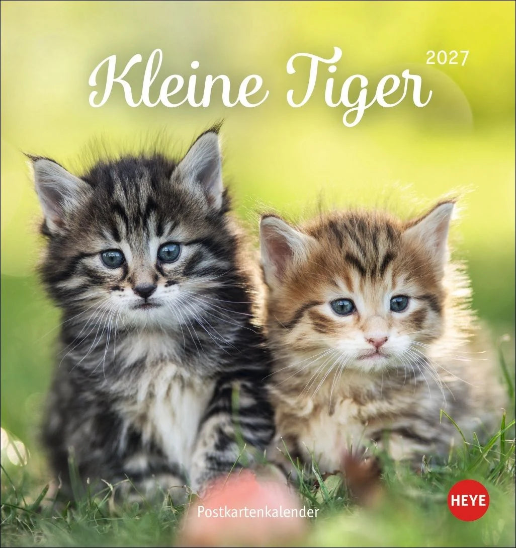 Postkartenkalender: Katzen Postkartenkalender Kleine Tiger 2027