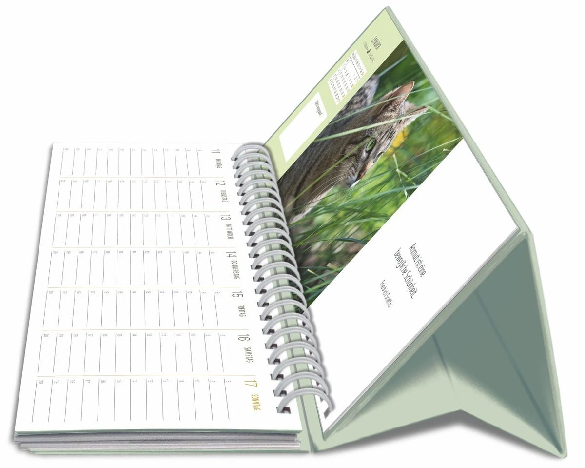 Katzen Premium-Tischplaner 2027 - Der literarische Wochenkalender mit Zitaten – Ansicht