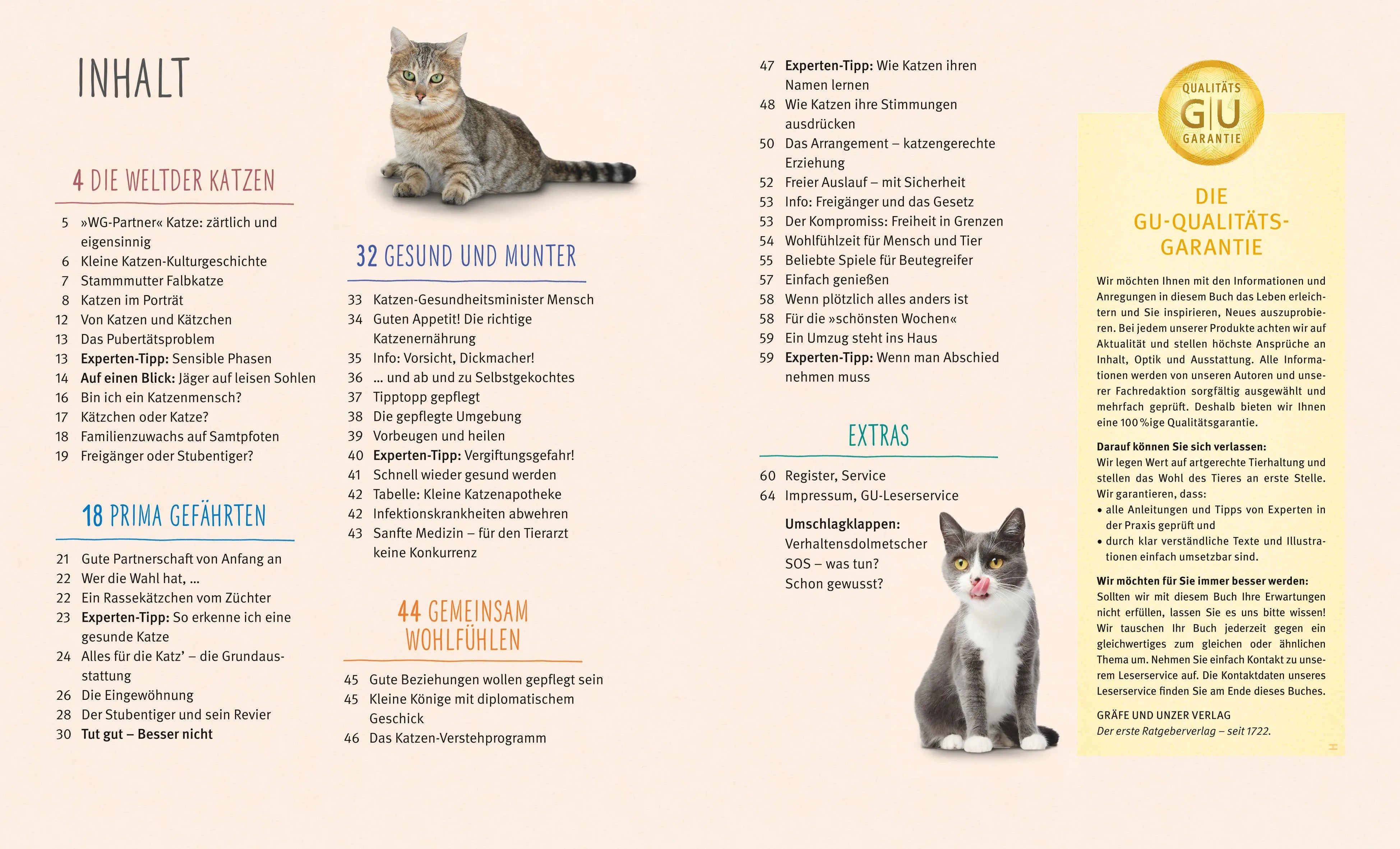 Abbildung von 'Katzen'