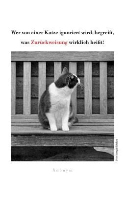 Katzen Taschenkalender 2027 – Ansicht