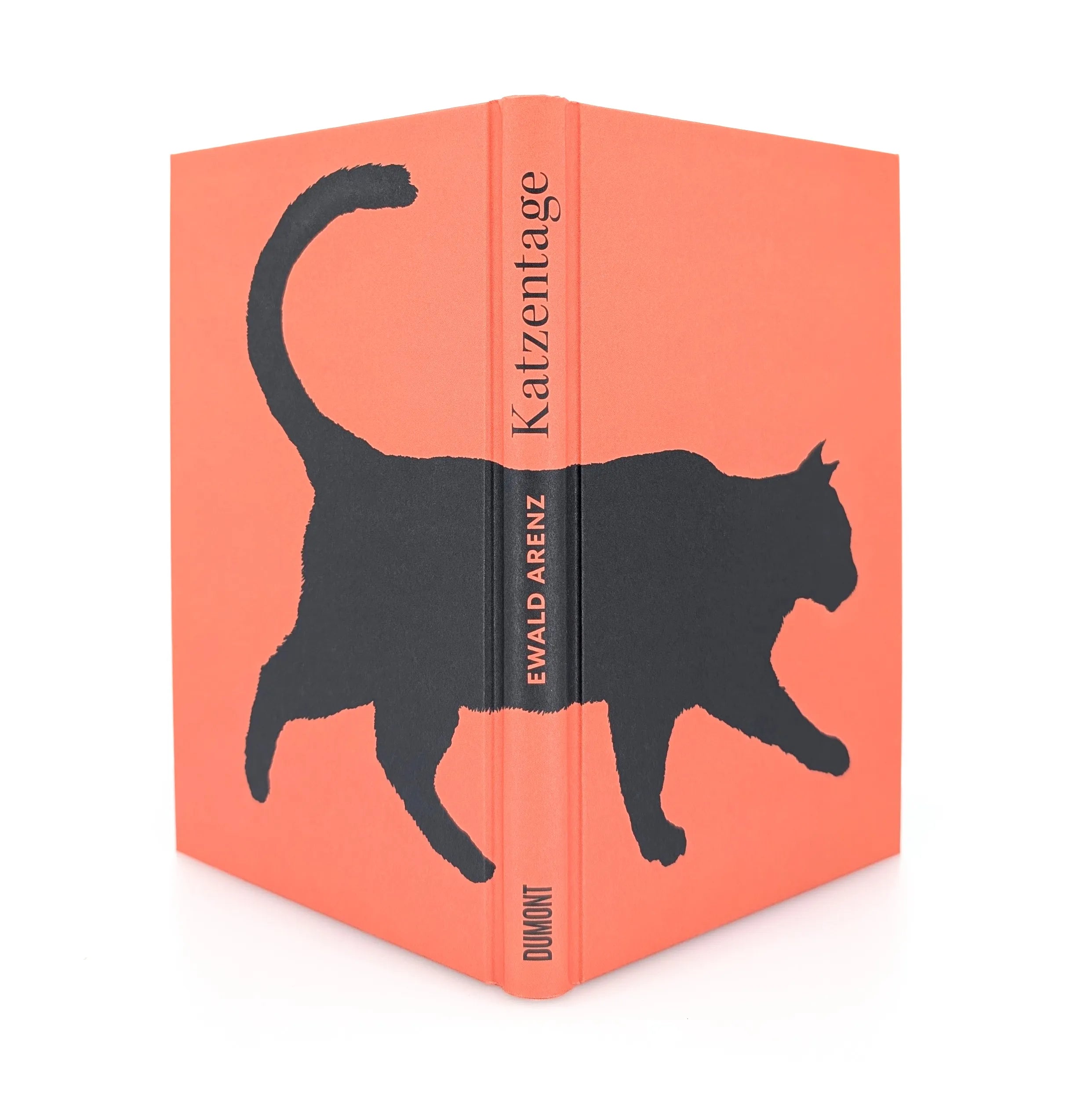 Detailansicht: Katzentage (Hardcover)
