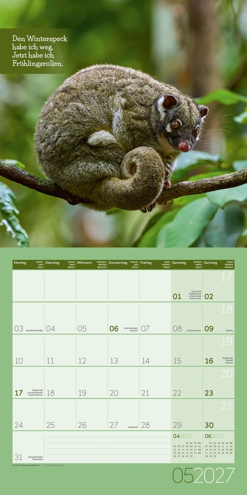 Keep Smiling Kalender 2027 - 30x30 - Art12 – Ansicht