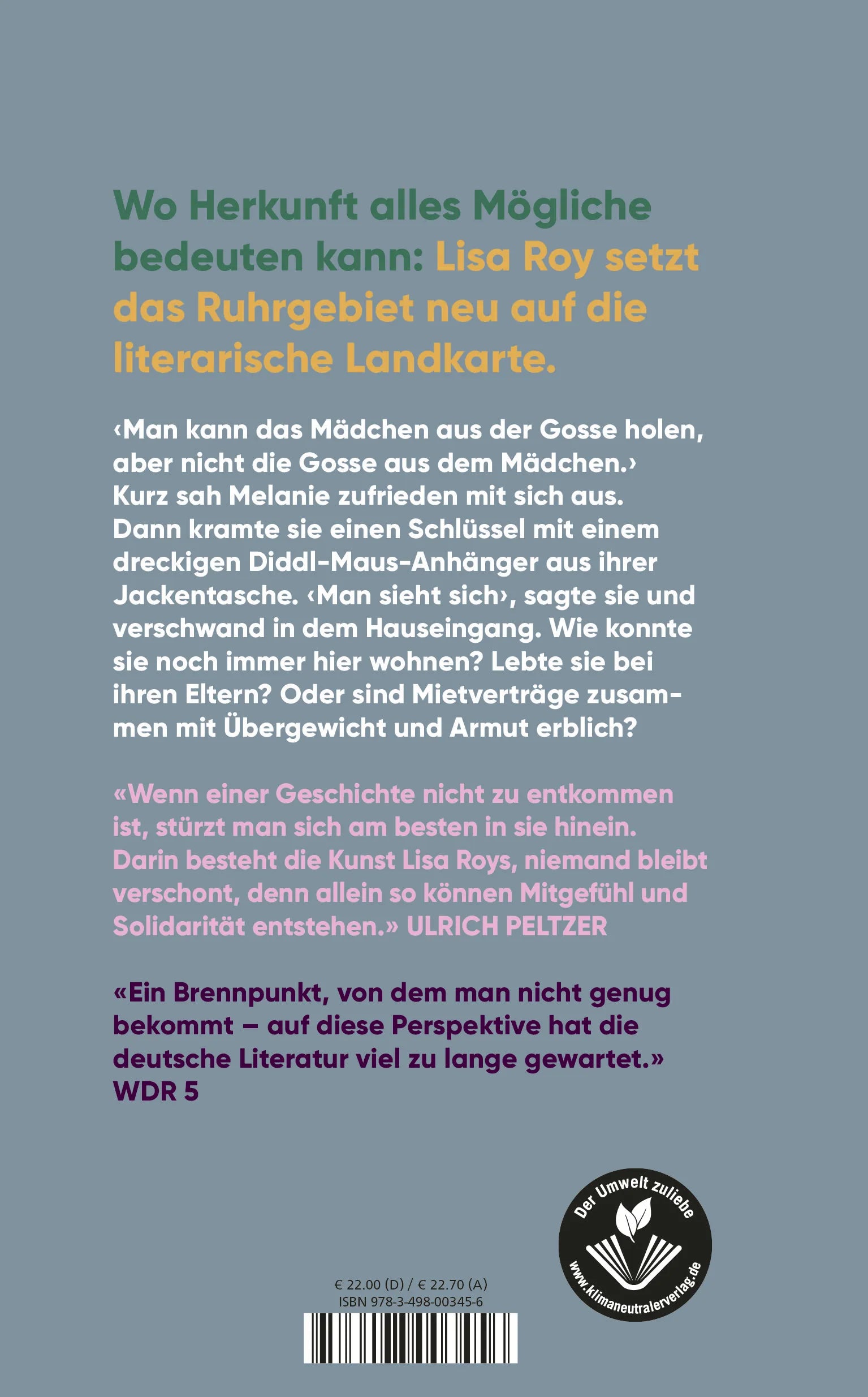 Buchrückseite von 'Keine gute Geschichte' mit Klappentext - Gebundene Ausgabe