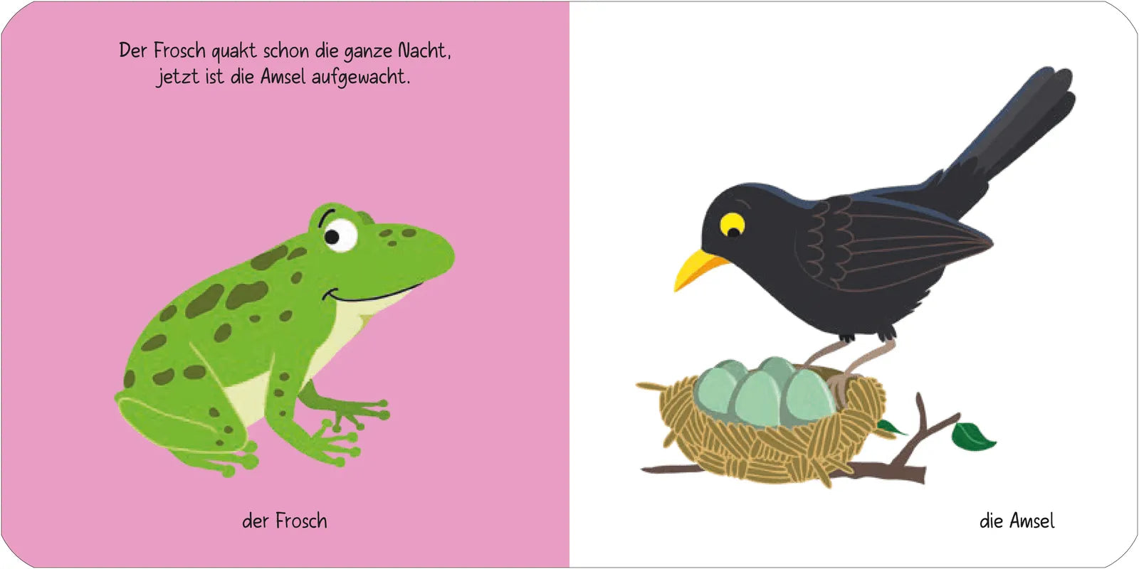 Detailansicht: Kennst du das? Babys erstes Bildwörterbuch. Jeden Tag ein neues Tier (Hardcover)