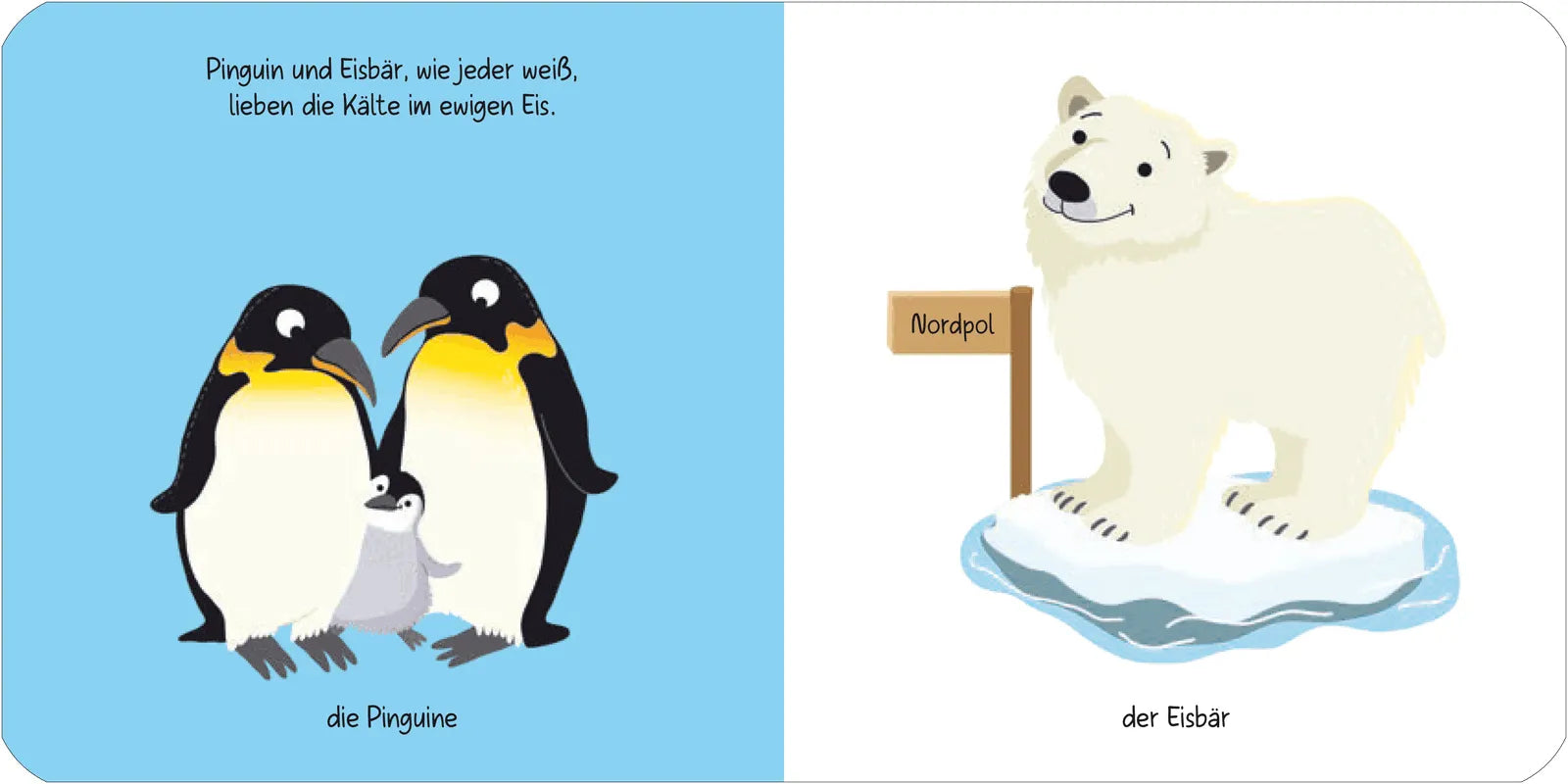 Detailansicht: Kennst du das? Babys erstes Bildwörterbuch. Jeden Tag ein neues Tier (Hardcover)