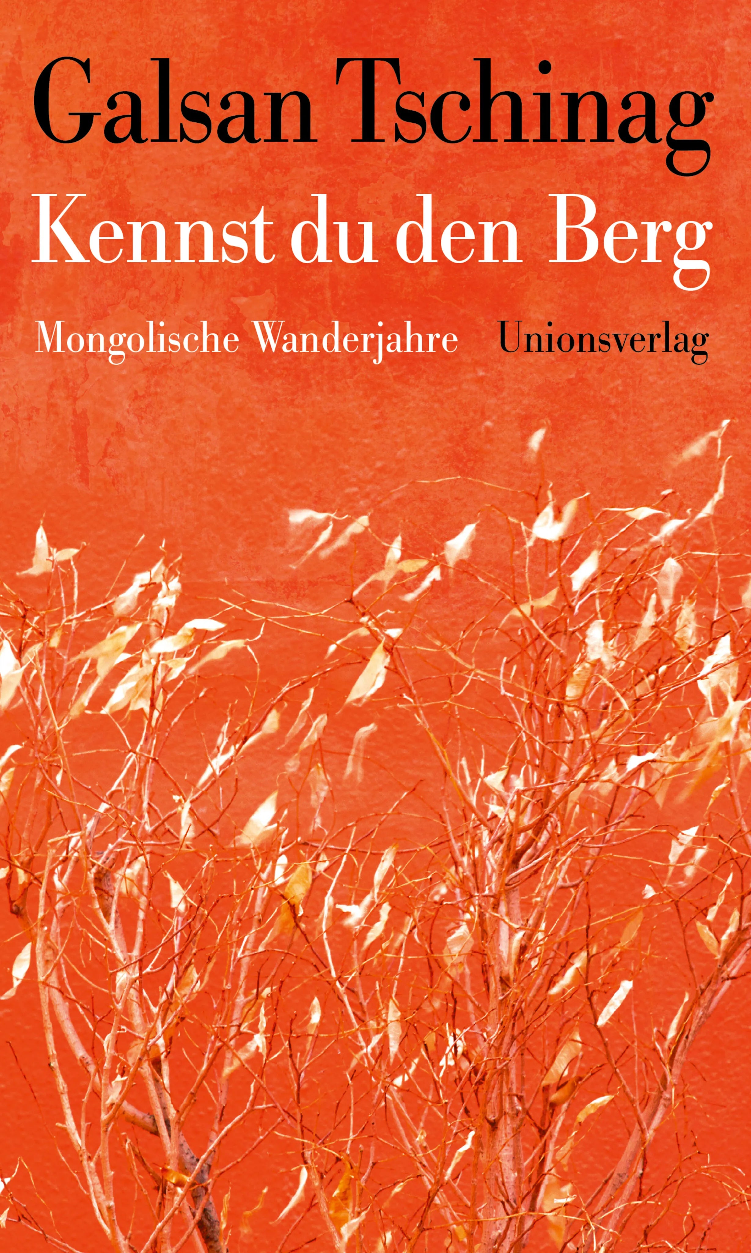 Buchcover von 'Kennst du den Berg' - Gebundene Ausgabe von Galsan Tschinag