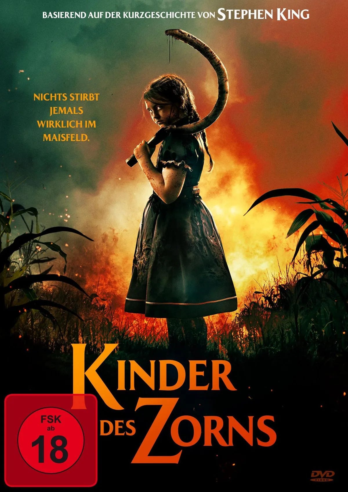 Kinder des Zorns - DVD
