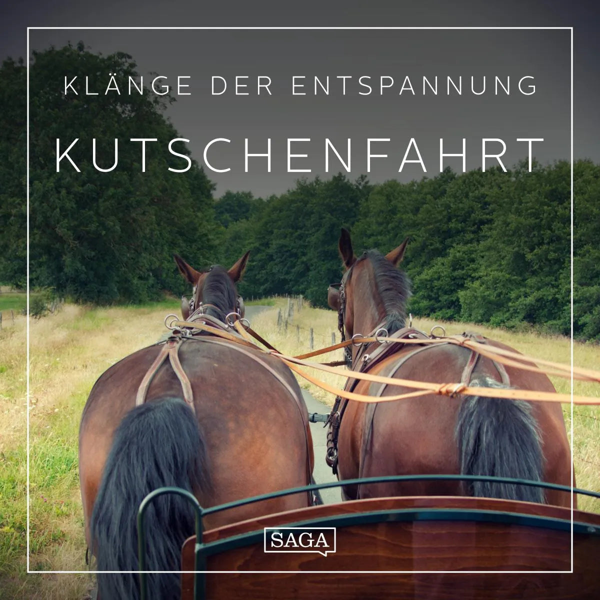 Cover: Klänge der Entspannung - Kutschenfahrt (Hörbuch Download) von Rasmus Broe