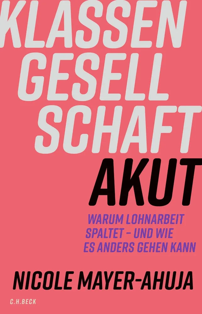 Cover: Klassengesellschaft akut (E-Book) von Nicole Mayer-Ahuja