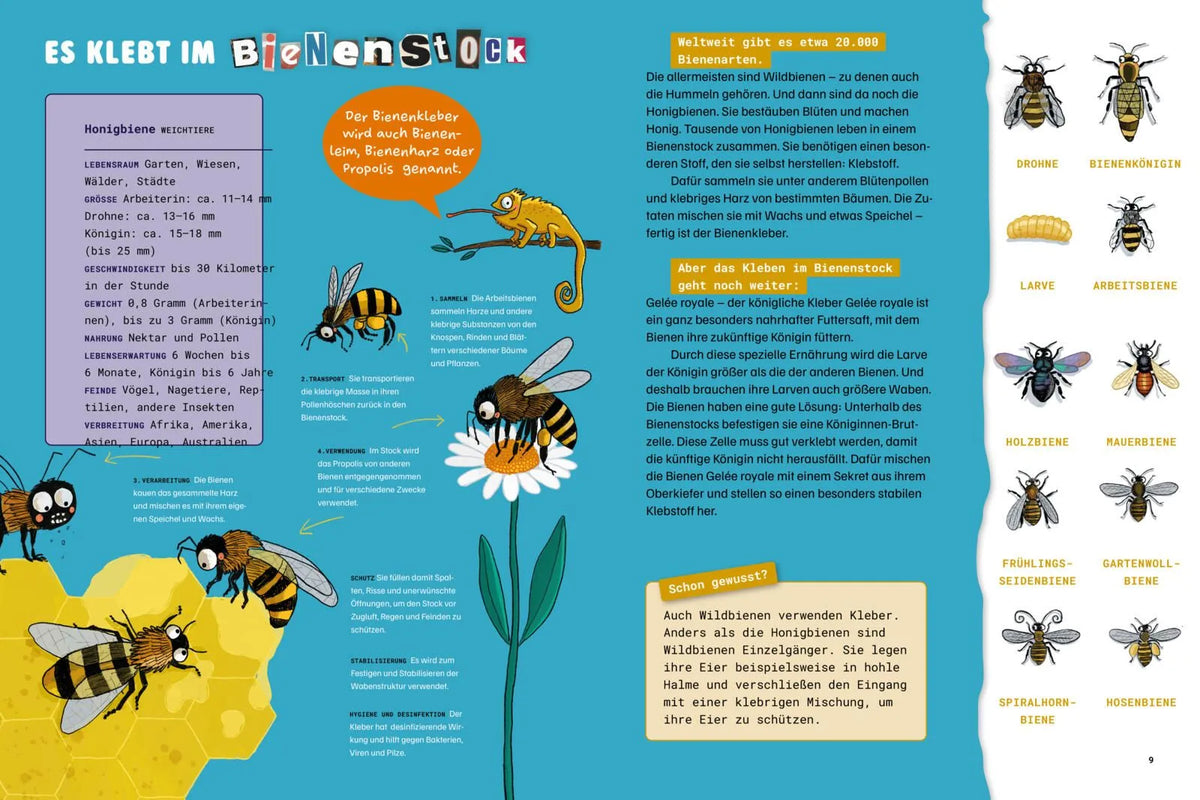 Detailansicht: Klebrig (Hardcover)