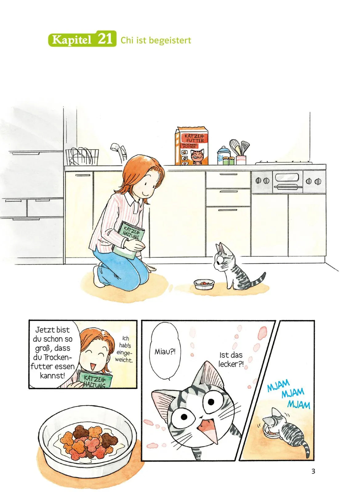 Produktansicht: Kleine Katze Chi 2 (Taschenbuch)