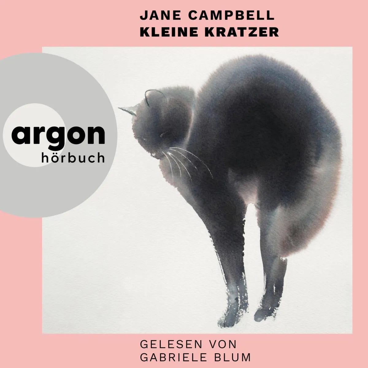 Cover: Kleine Kratzer (Hörbuch Download) von Jane Campbell