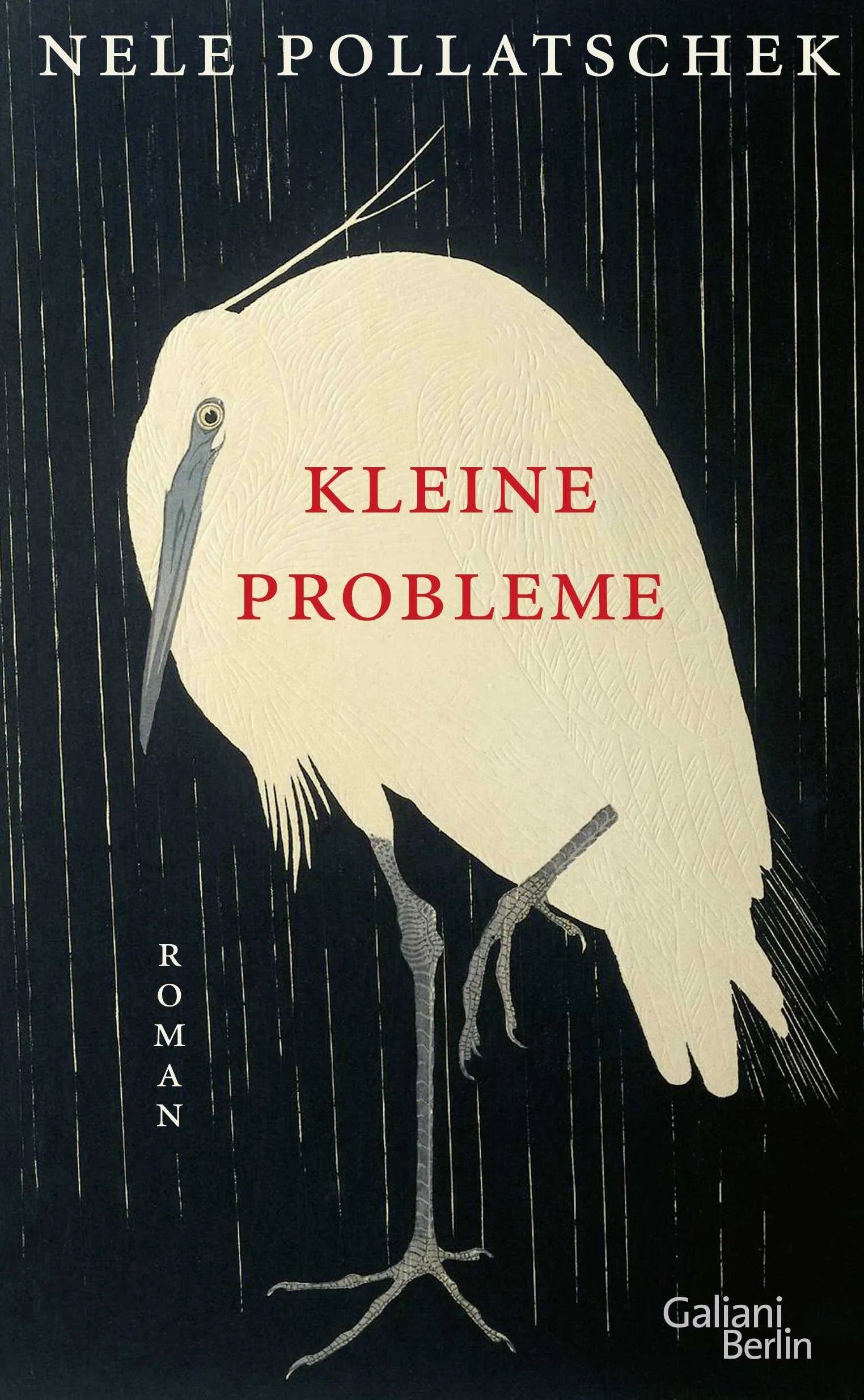 Buchcover von 'Kleine Probleme' - Gebundene Ausgabe von Nele Pollatschek