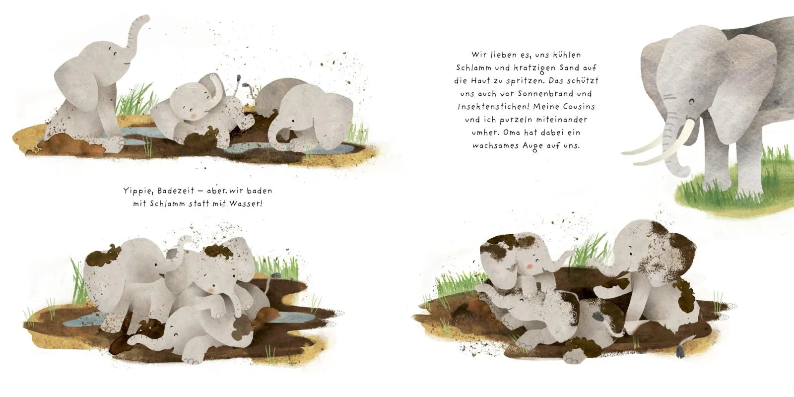 Anna Brett - Kleine Tiere werden groß - Der Elefant