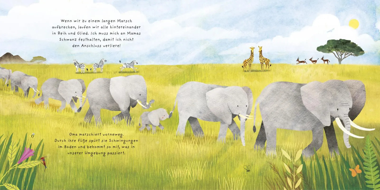 Produktansicht: Kleine Tiere werden groß - Der Elefant (Gebundene Ausgabe)