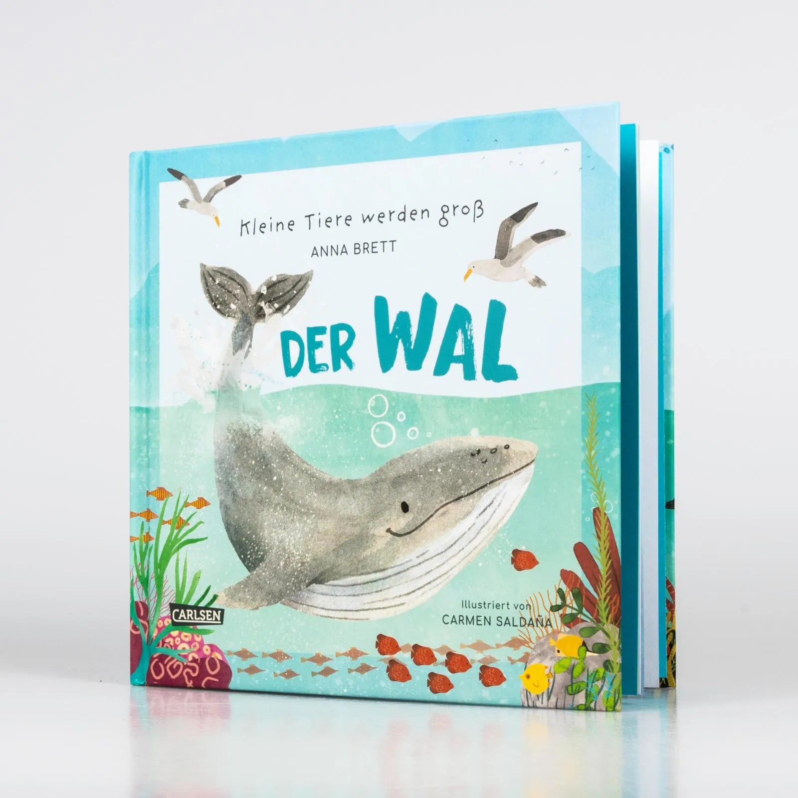 Produktansicht: Kleine Tiere werden groß - Der Wal (Gebundene Ausgabe)