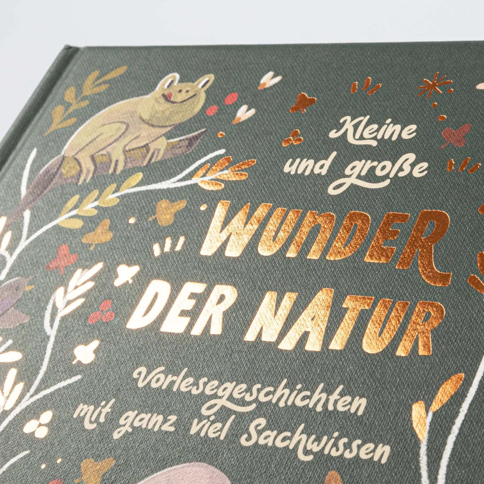 Produktansicht: Kleine und große Wunder der Natur (Gebundene Ausgabe)