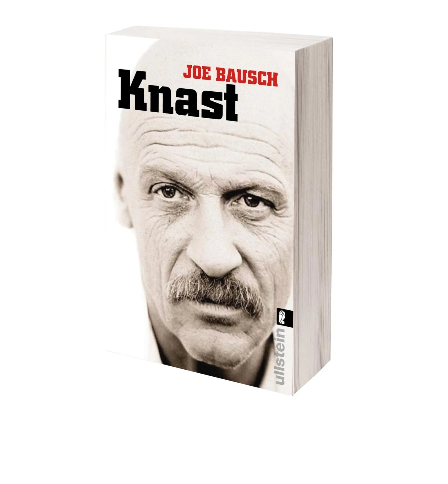 Detailansicht: Knast (Taschenbuch)