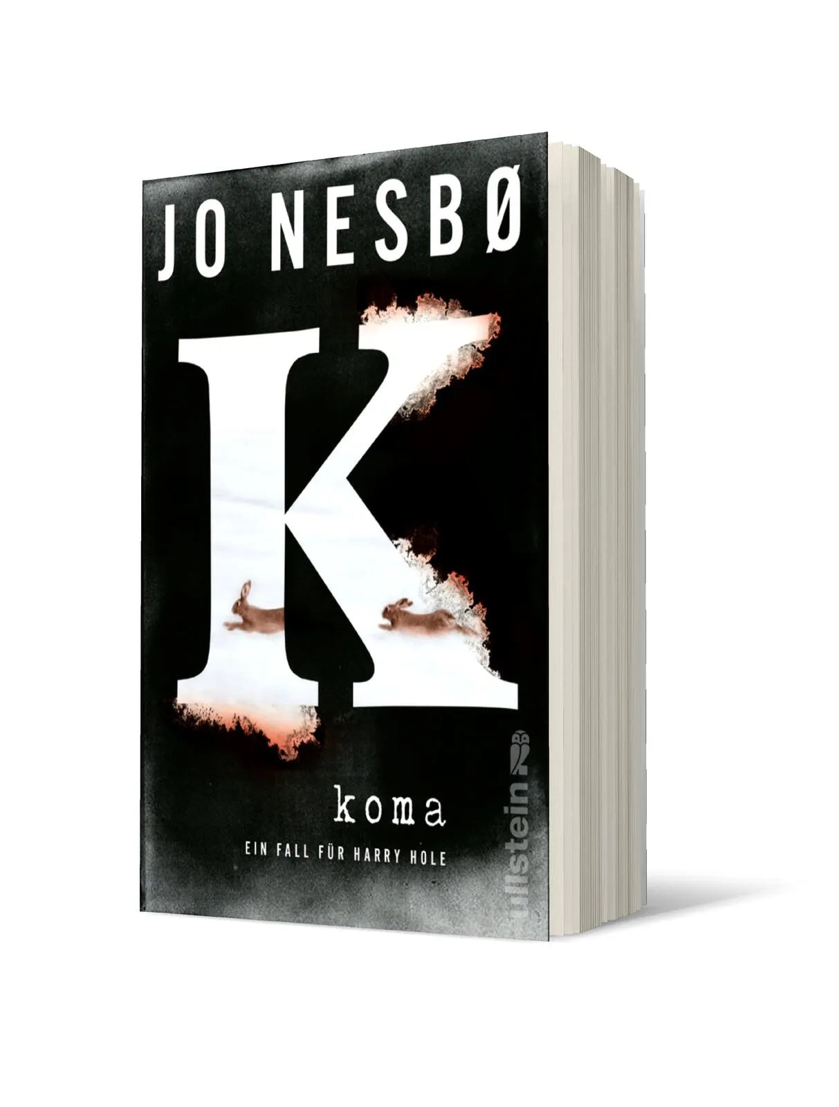Produktansicht: Koma (Taschenbuch)