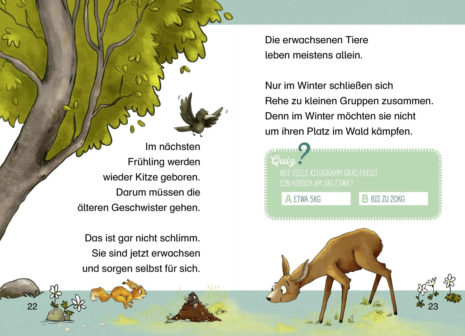 Abbildung von 'Komm mit uns in den Wald'