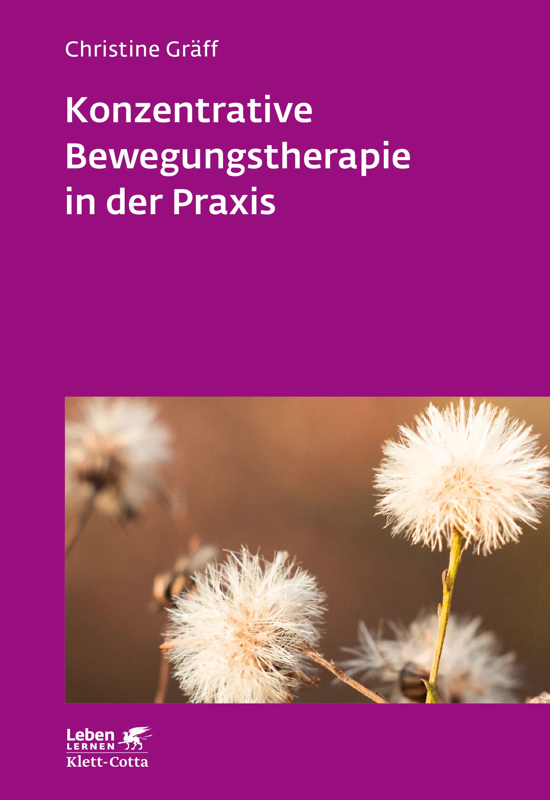 Buchcover von 'Konzentrative Bewegungstherapie in der Praxis' - Paperback von Christine Gräff