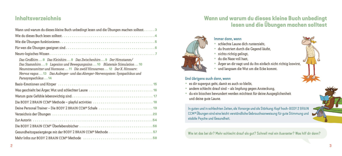 Detailansicht: Kopf hoch – das kleine Überlebensbuch (Hardcover)