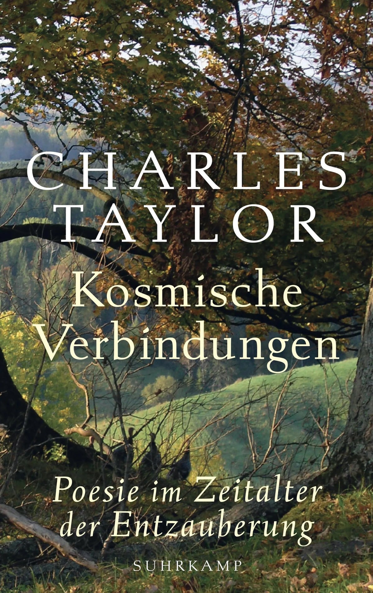 Cover: Kosmische Verbindungen (E-Book) von Charles Taylor