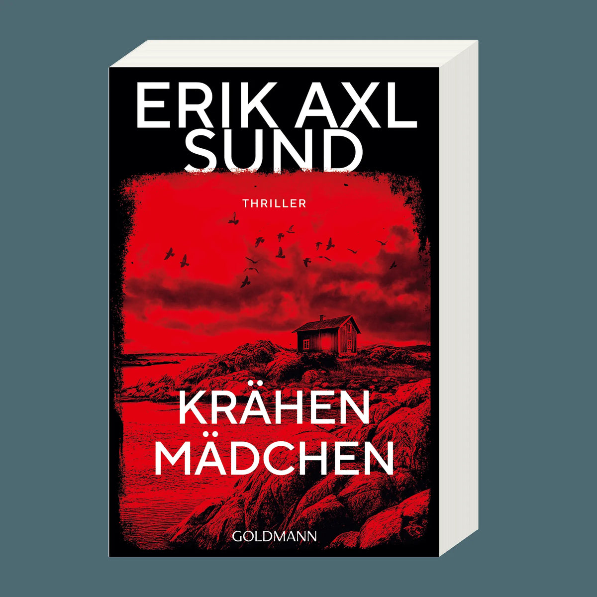 Detailansicht: Krähenmädchen (Taschenbuch)