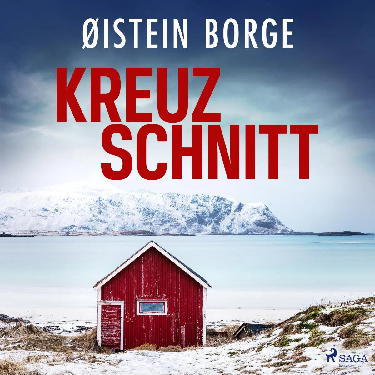 Cover: Kreuzschnitt (Hörbuch Download) von Øistein Borge