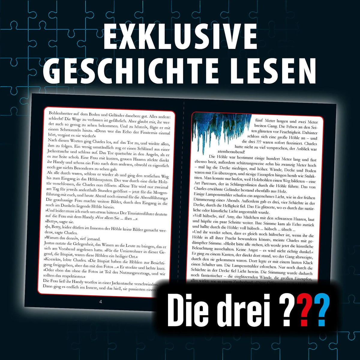 Krimipuzzle Die drei ??? Echo der Finsternis – Ansicht
