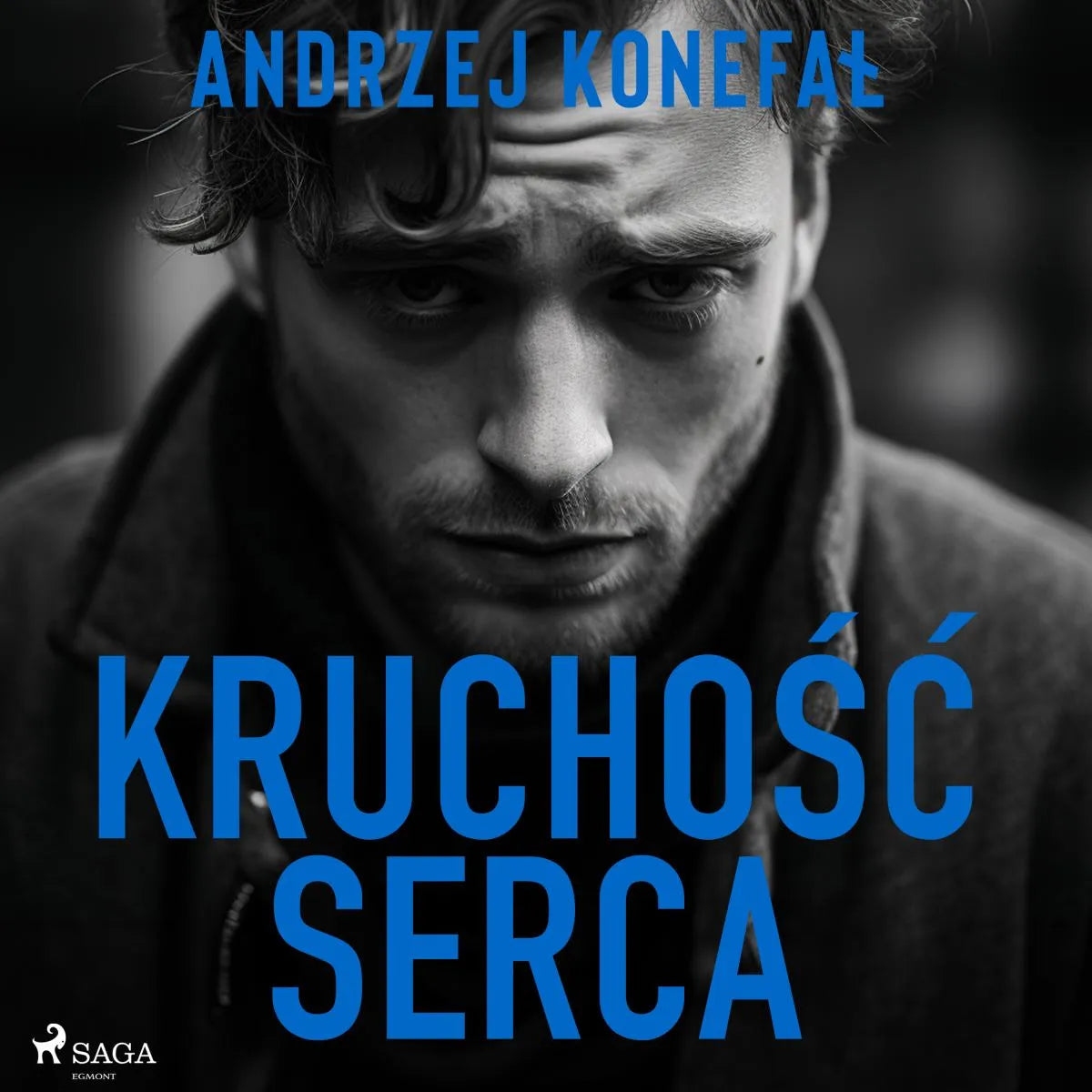 Cover: Kruchość serca (Hörbuch Download) von Andrzej Konefal