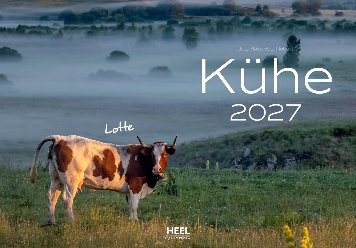 Wandkalender: Kühe Kalender 2027 Wandkalender