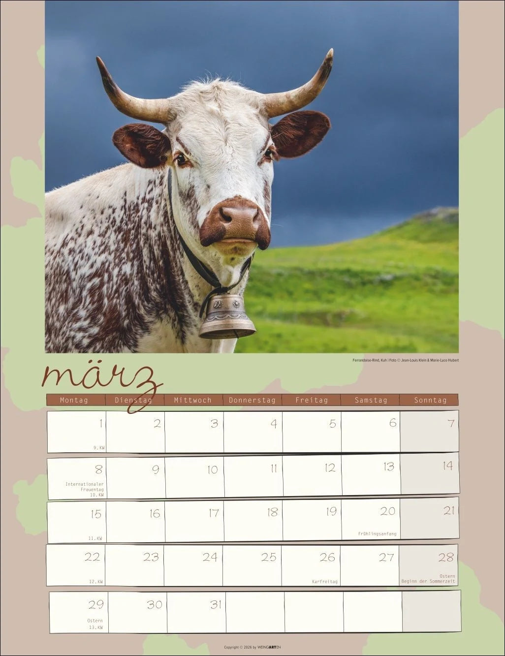 Kuh Kalender 2027 – Ansicht
