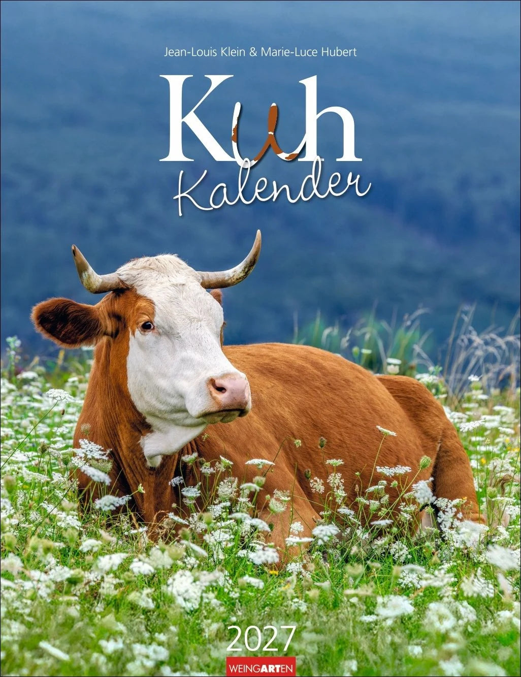Wandkalender: Kuh Kalender 2027