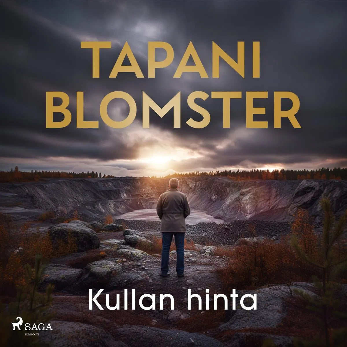 Cover: Kullan hinta (Hörbuch Download) von Tapani Blomster
