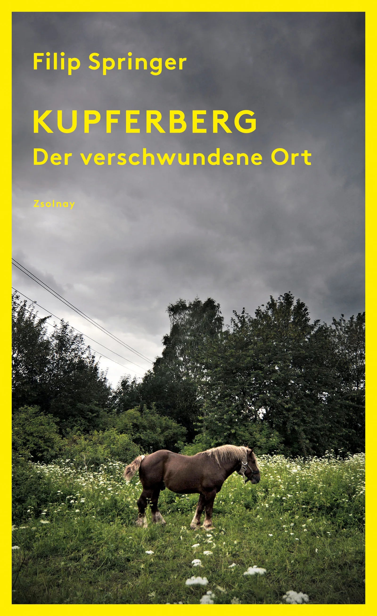 Buchcover von 'Kupferberg' - Gebundene Ausgabe von Filip Springer