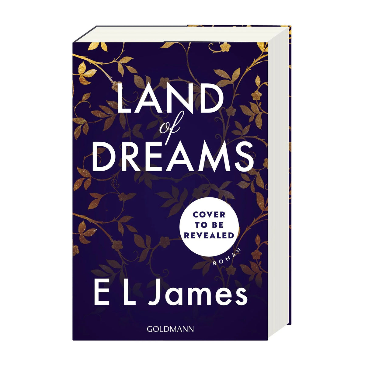 Detailansicht: Land of Dreams (Paperback)