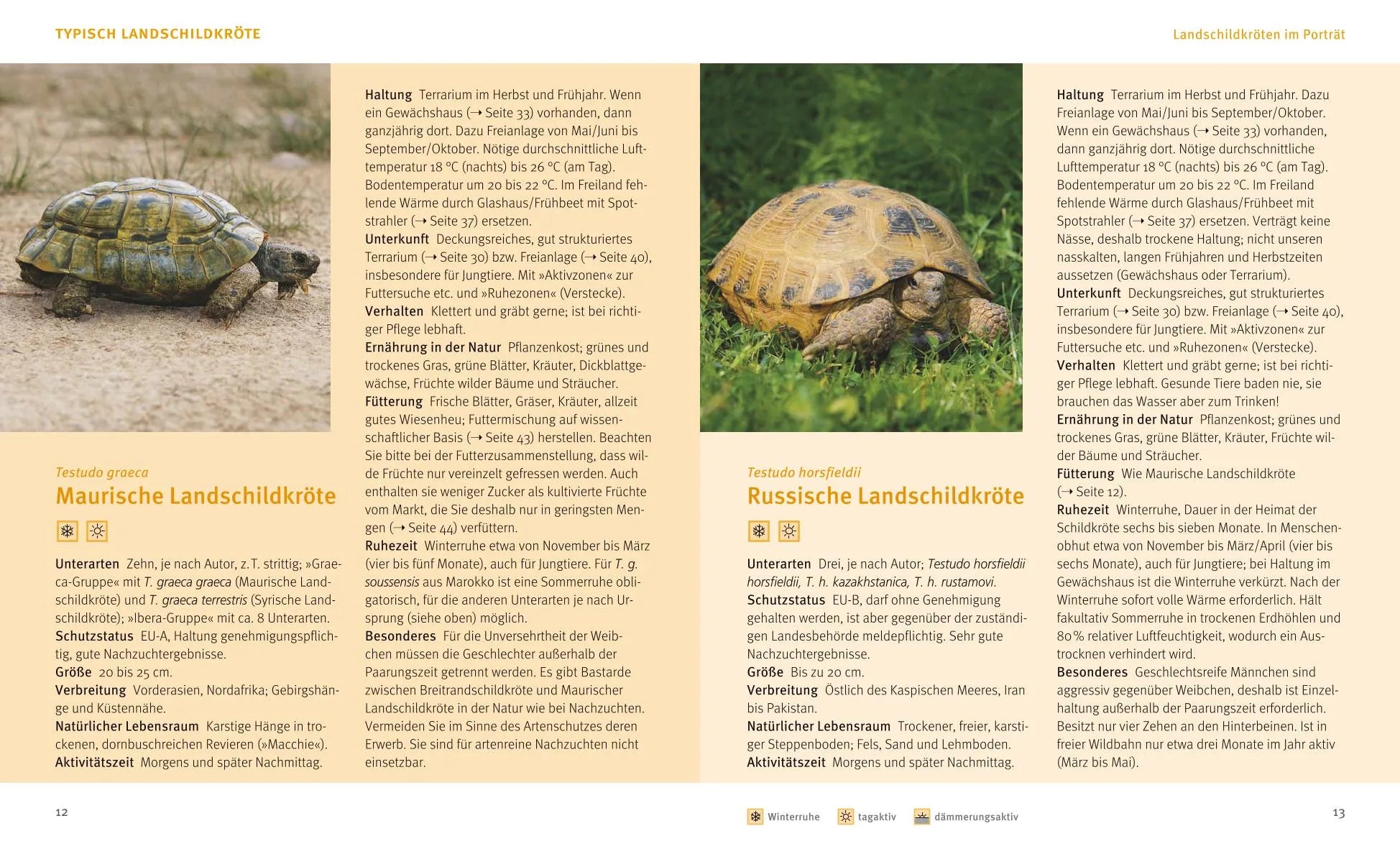 Hartmut Wilke - Landschildkröten