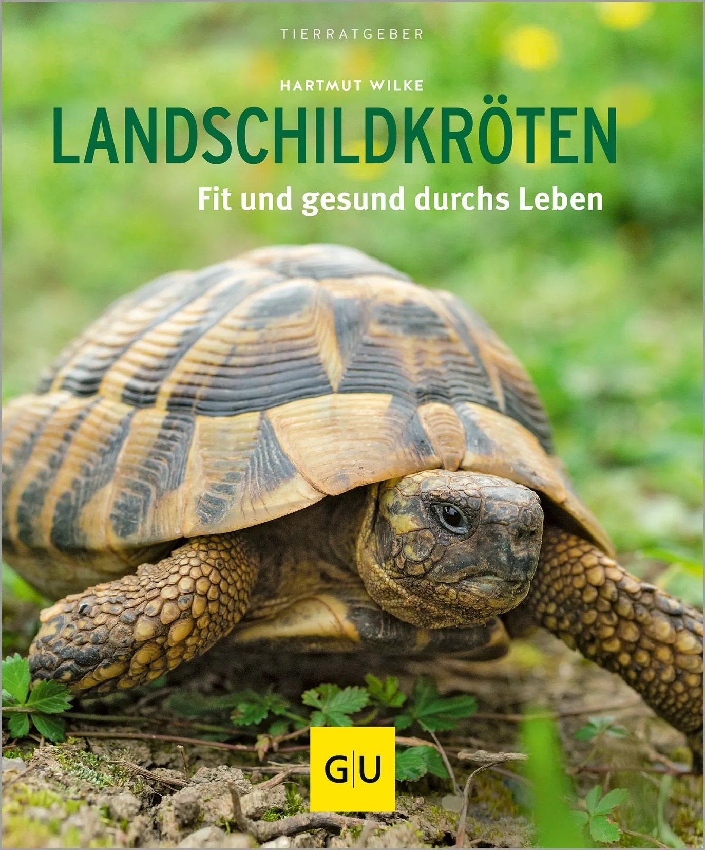 Cover: Landschildkröten (Paperback) von Hartmut Wilke
