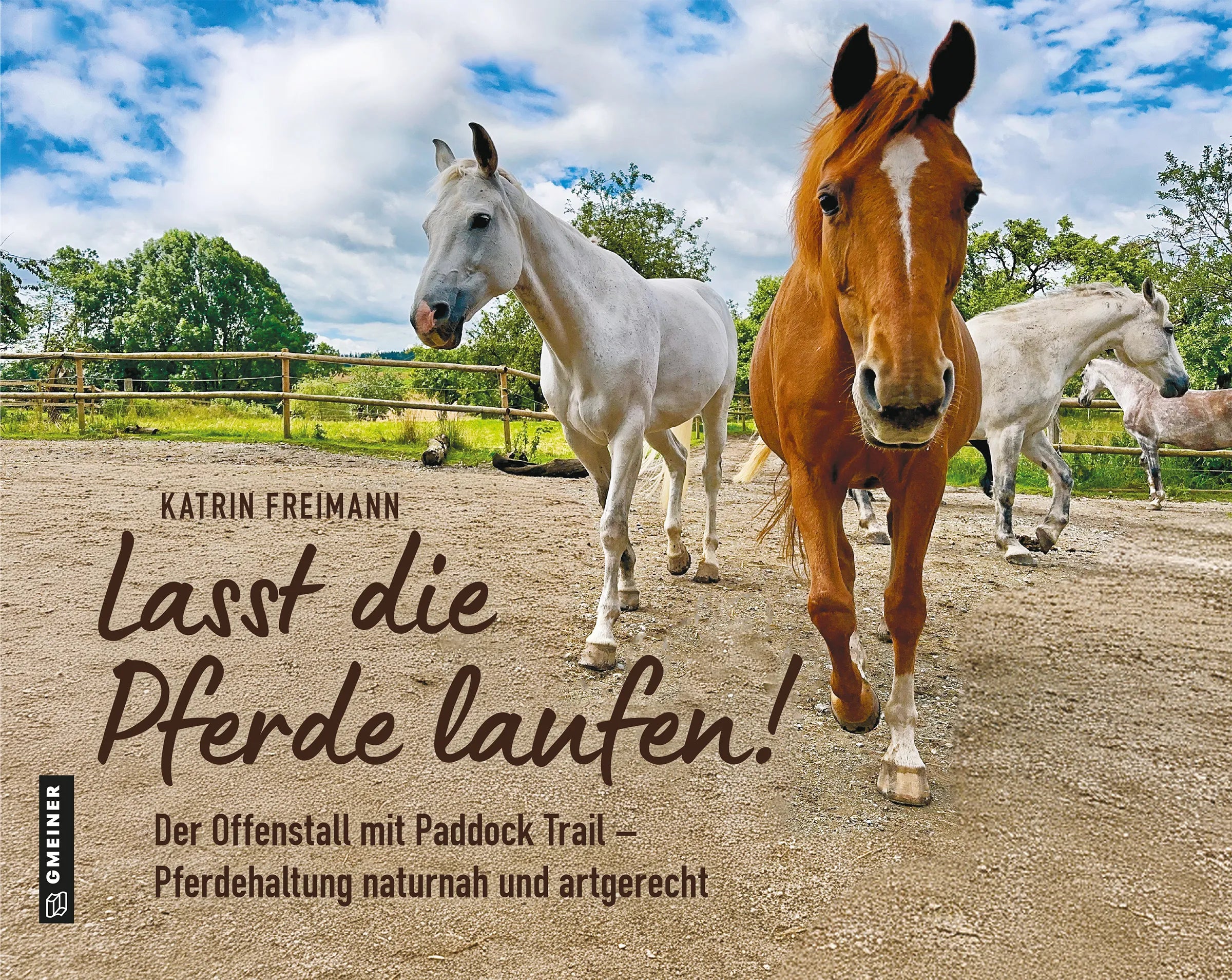 Cover: Lasst die Pferde laufen (E-Book) von Katrin Freimann