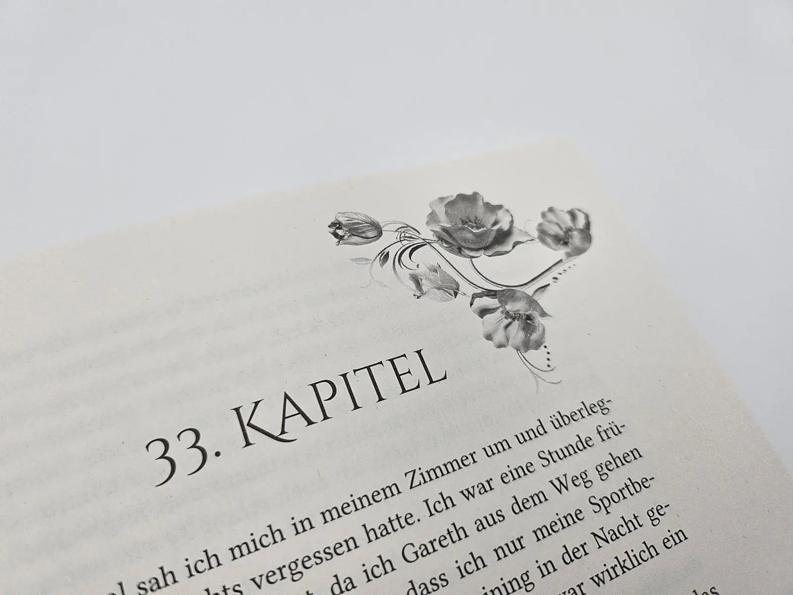Produktansicht: Ein Käfig aus Rache und Blut (Taschenbuch)