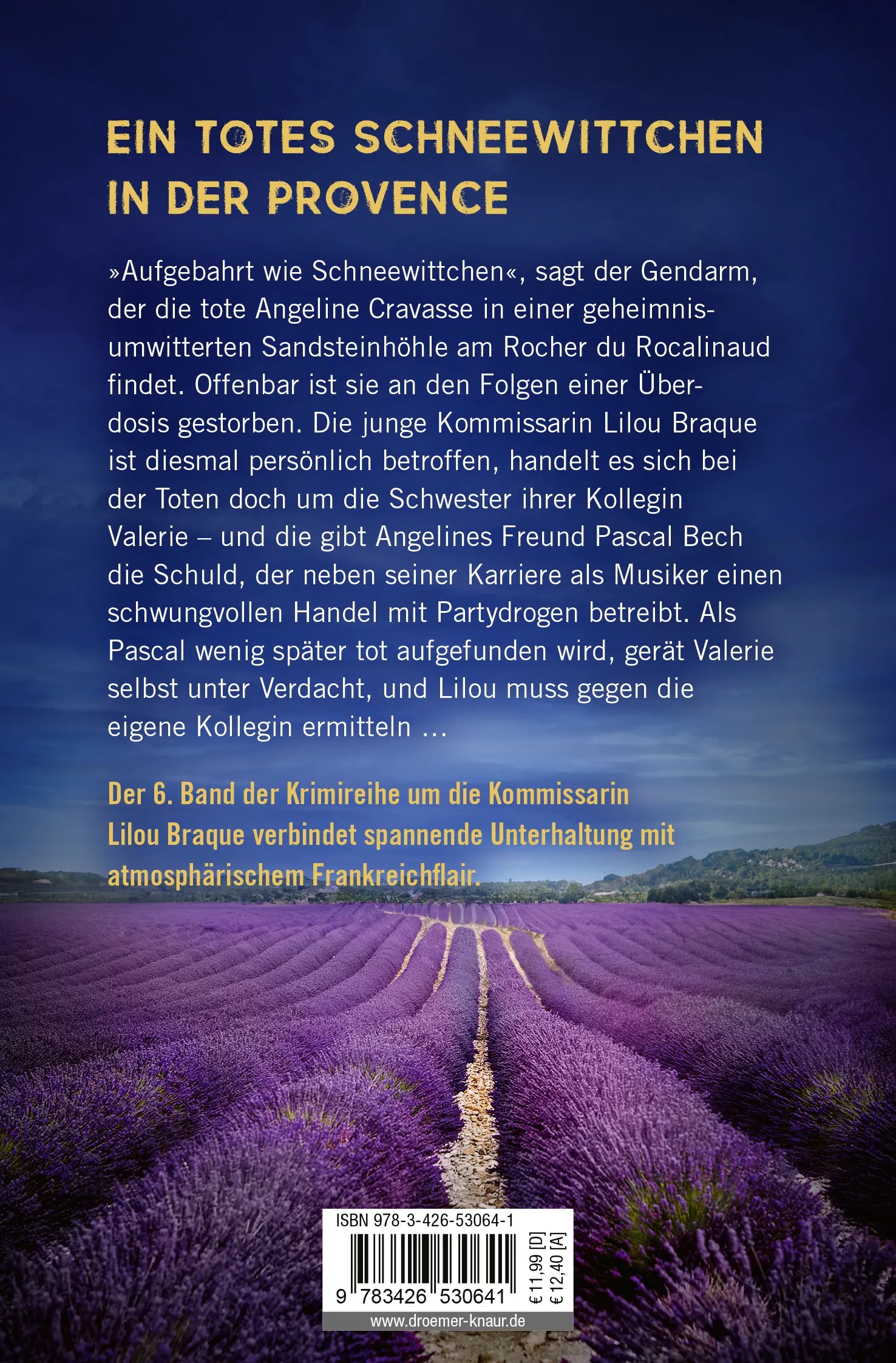 Buchrückseite von 'Lavendel-Sturm' mit Klappentext - Taschenbuch